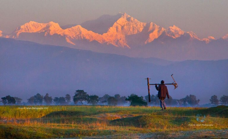 কাঞ্চনজঙ্ঘা, Kanchonjhonga